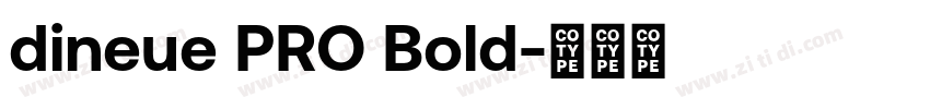 dineue PRO Bold字体转换